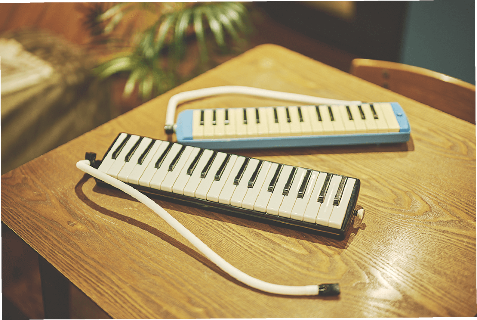 青と黒の鍵盤ハーモニカ